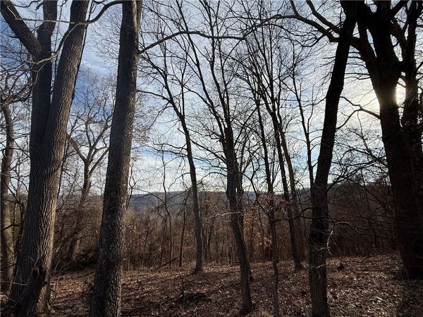 258 Holiday Island Drive, Holiday Island, AR 72631