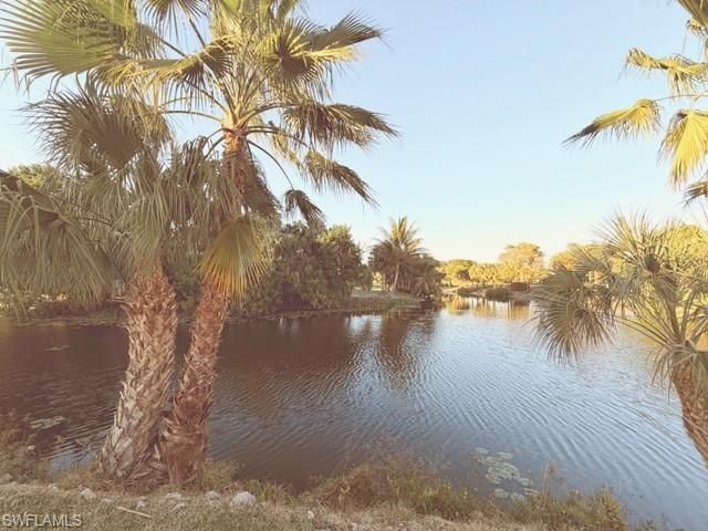 925 Palm View Dr, Unit 121, Naples, FL 34110 Photo