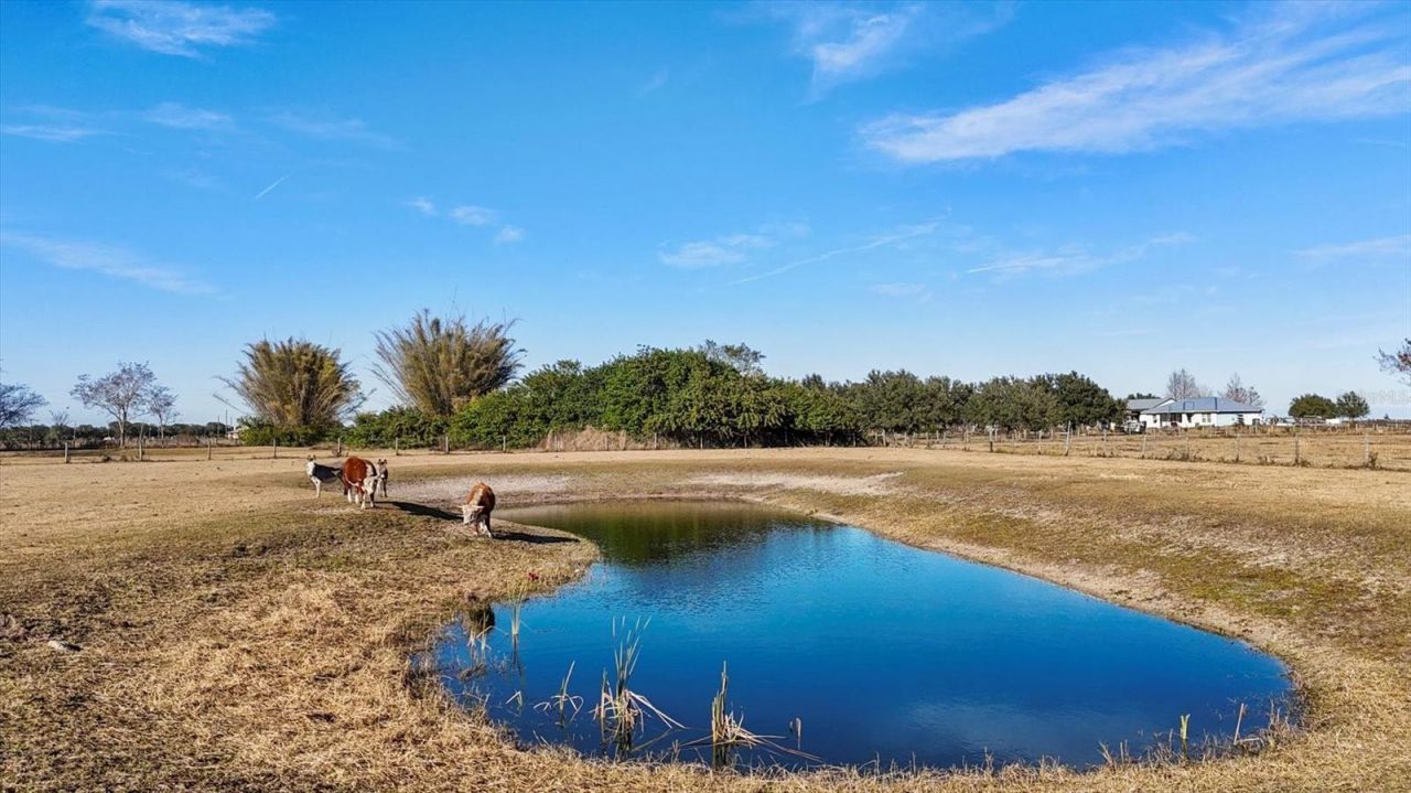 14325 Mj Road, Myakka City, FL 34251 Photo