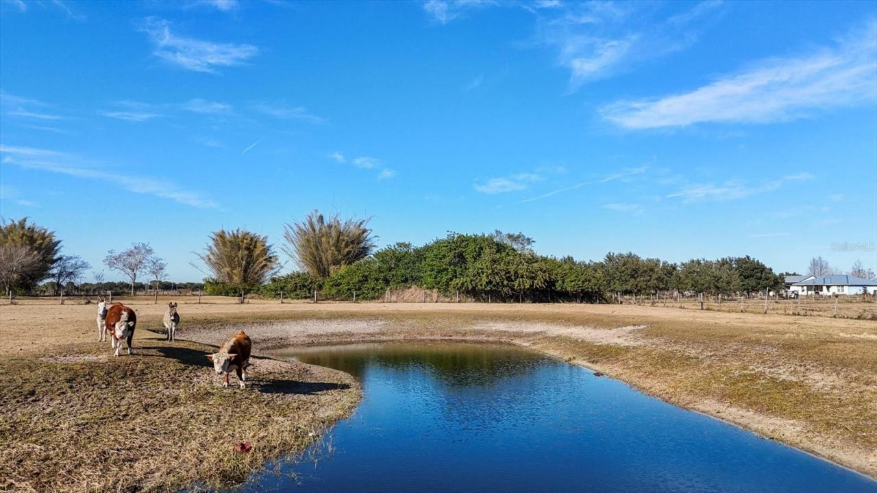 14325 Mj Road, Myakka City, FL 34251 Photo