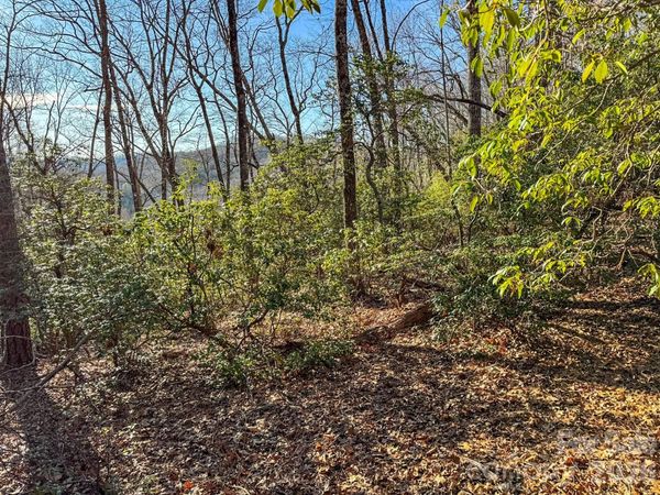 1647 Mills River Way , Horse Shoe, NC 28742