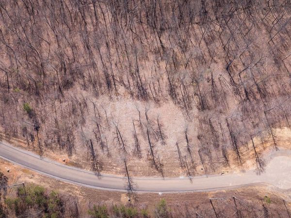 325 Whiskey Way, Jasper, TN 37347