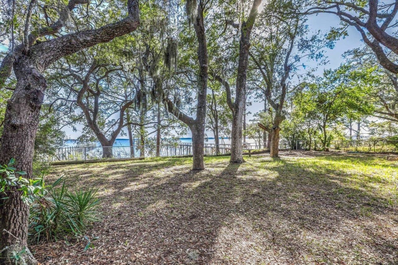 367 Mashes Sands Road, Panacea, FL 32346 Photo