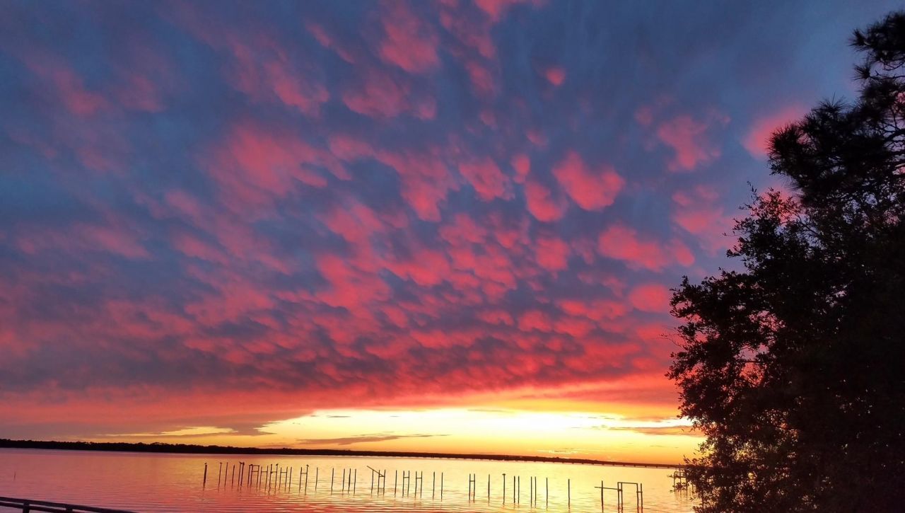 367 Mashes Sands Road, Panacea, FL 32346 Photo