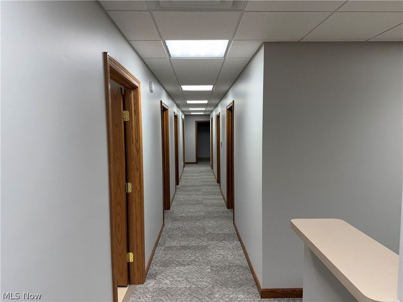 365 Riffel Road, Unit E, Wooster, OH 44691 Photo 7