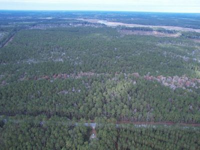 Tract D - TBD Pennyroyal Rd. , Georgetown, SC 29440