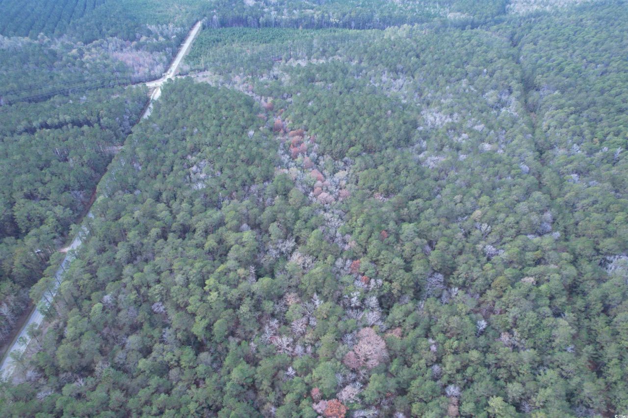 Tract D - Tbd Pennyroyal Rd. Photo 11