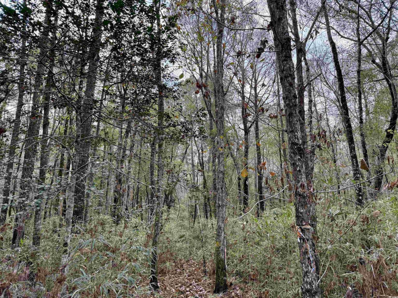 Tract D - Tbd Pennyroyal Rd. Photo 19