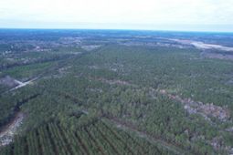 Tract D - Tbd Pennyroyal Rd.  photo 4