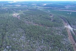 Tract D - Tbd Pennyroyal Rd.  photo 4