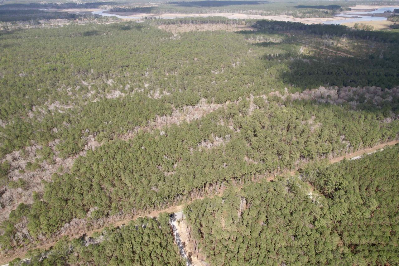 Tract D - Tbd Pennyroyal Rd. Photo 5