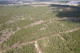 Tract D - Tbd Pennyroyal Rd. photo 4