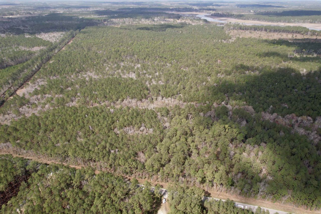 Tract D - Tbd Pennyroyal Rd. Photo 7