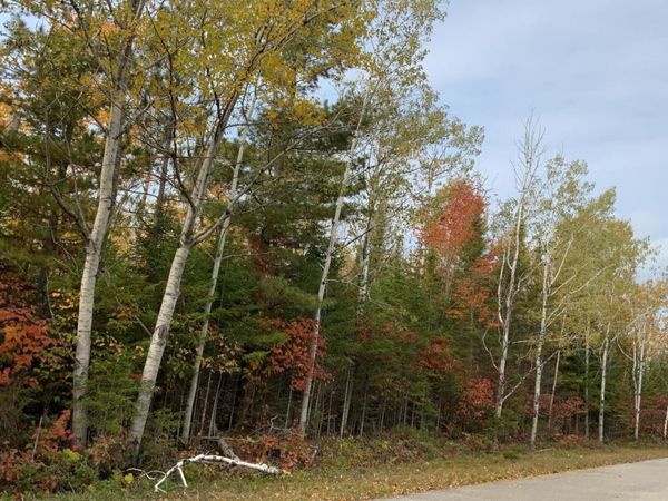 Lot 165 Wilderness Drive, Presque Isle, MI 49777