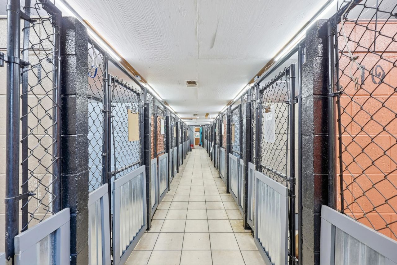 3054 Forestbrook Rd.  Photo 19