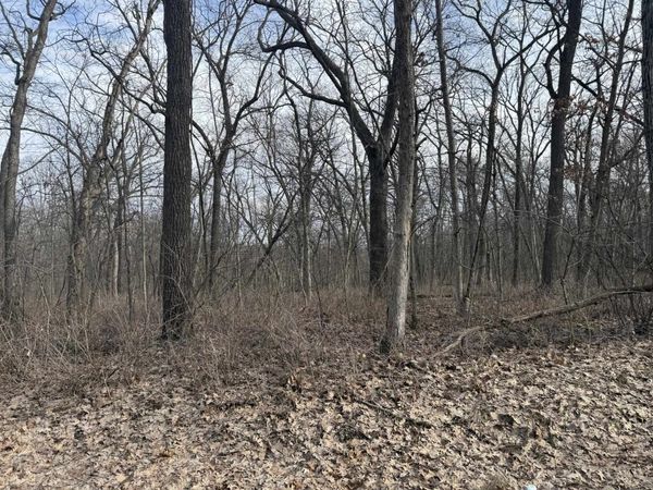 2+/- Acres Biggs Road, Argyle, WI 53504