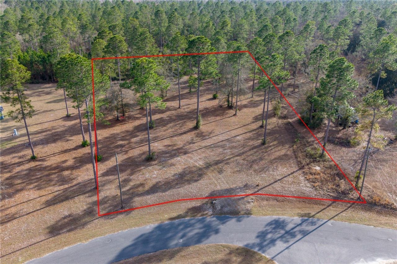 Tbd SE 64th Street, Lake Butler, FL 32054 Main Photo