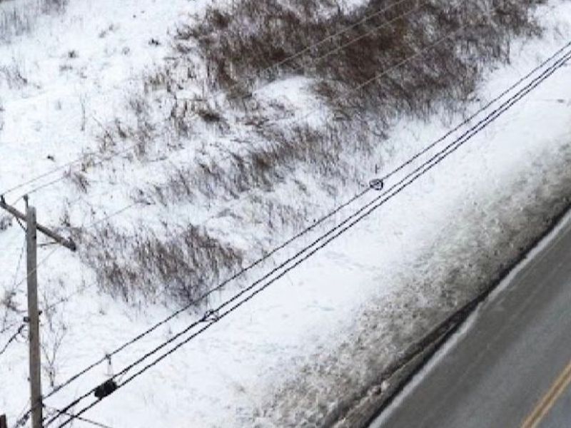 Bantam Ridge, Wintersville, OH 43953 Photo 10