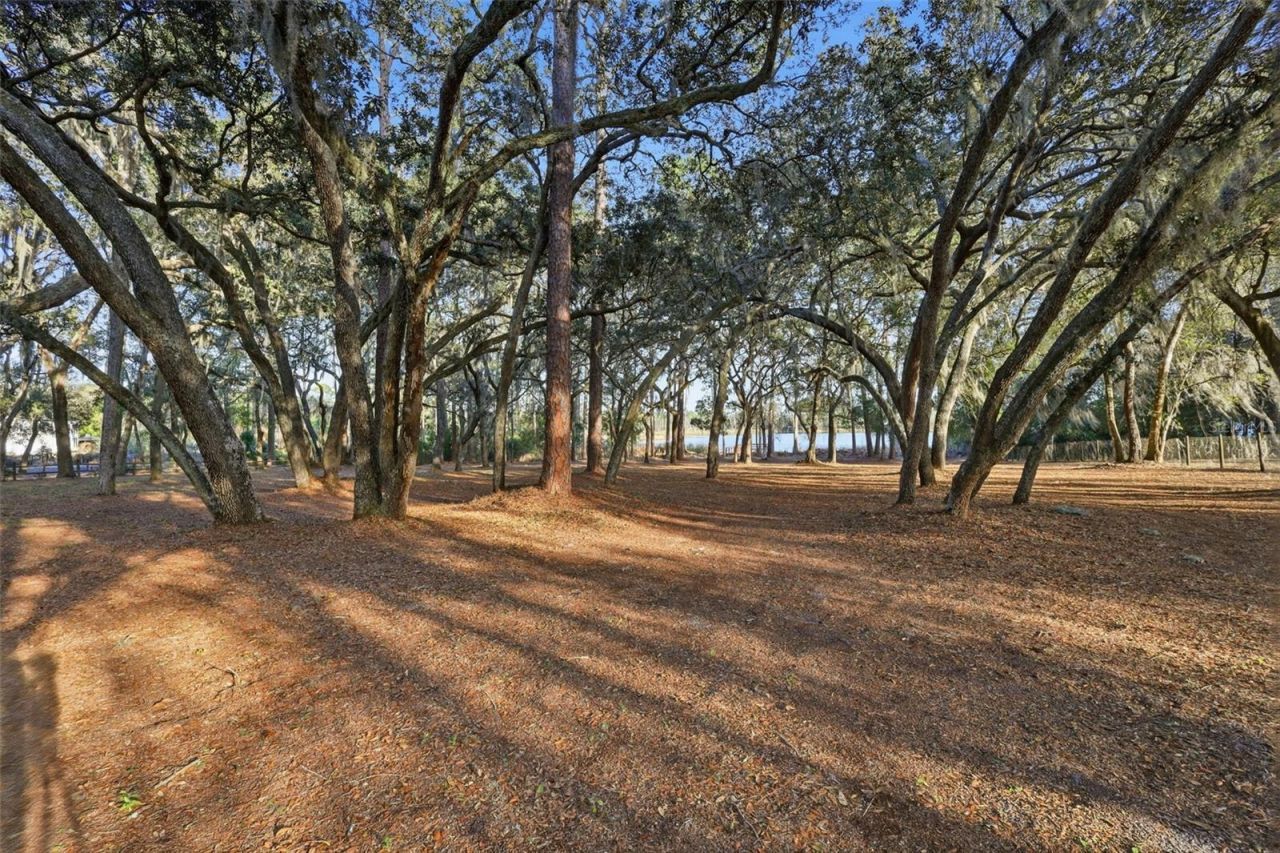 6197 Lake Winona Road, De Leon Springs, FL 32130 Photo