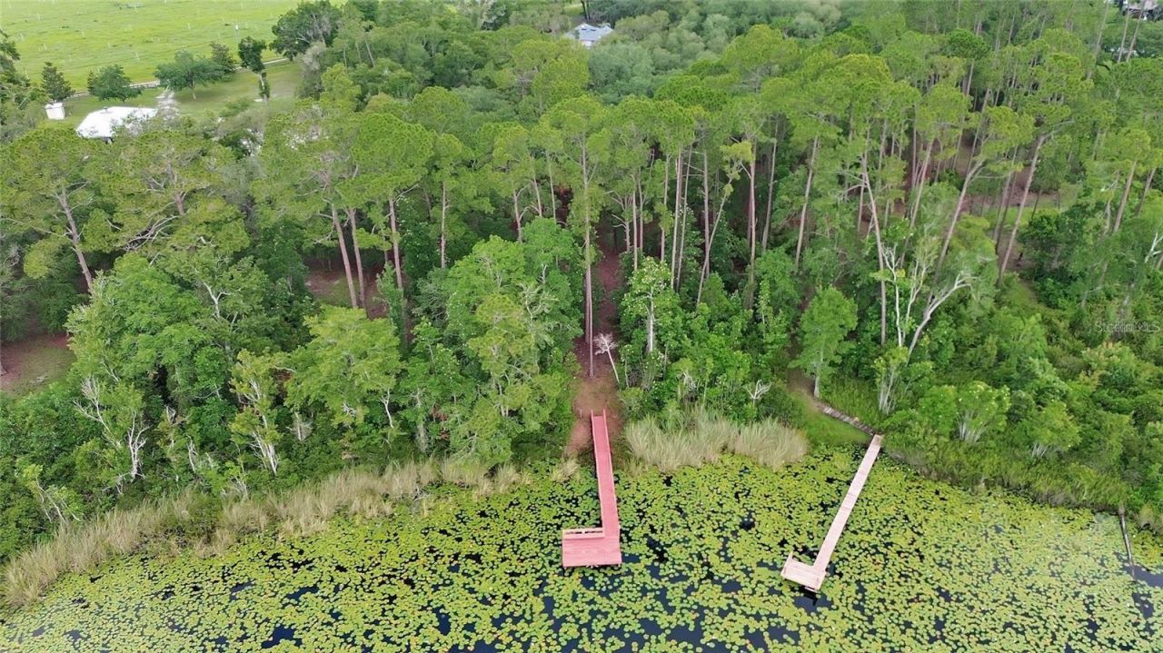 6197 Lake Winona Road, De Leon Springs, FL 32130 Photo