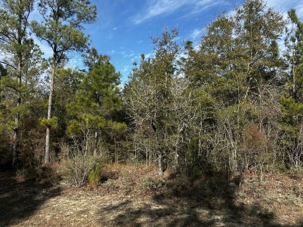 TBD Valiant Drive, Chipley, FL 32428