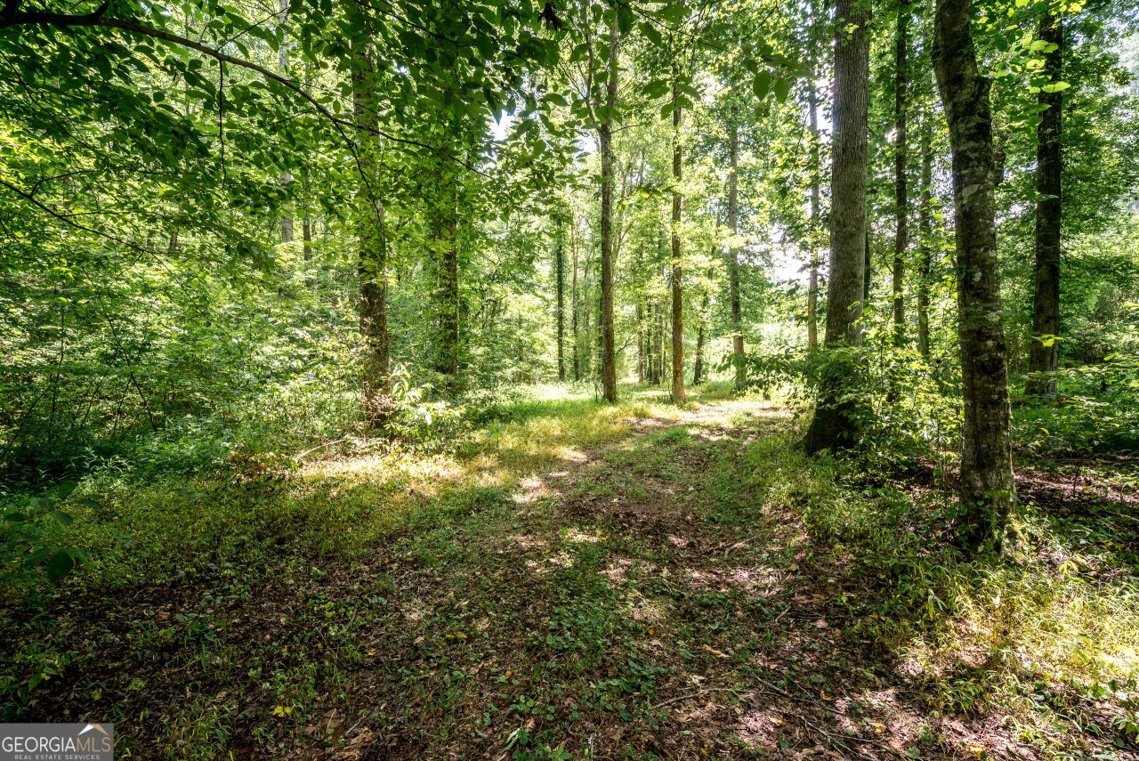 0 Wagers Mill Road, Unit 20+/- ACRE, Newnan, GA 30263 Main Photo