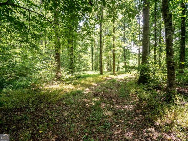 0 Wagers Mill Road, Unit 20+/- ACRE, Newnan, GA 30263