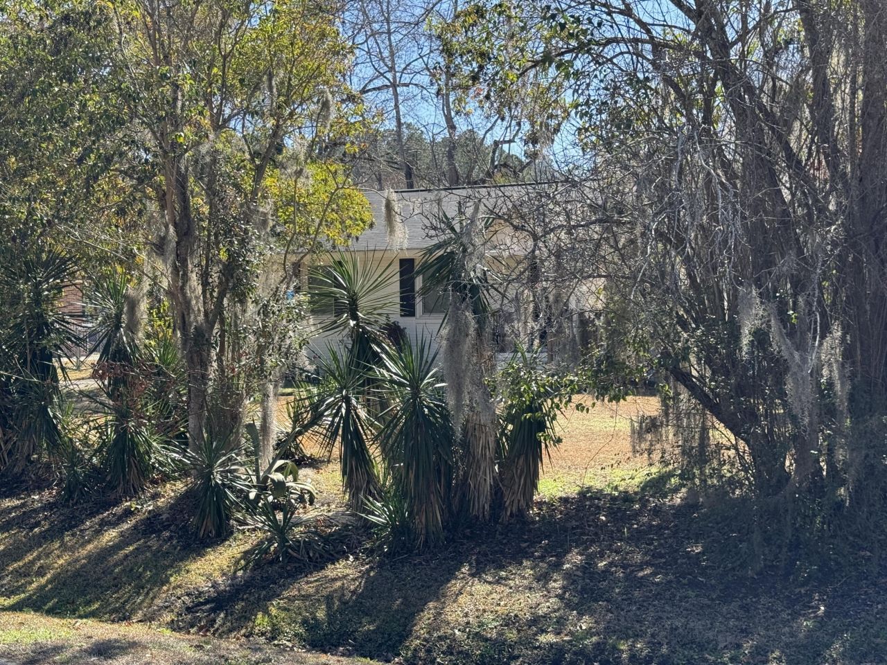 1132 O T Wallace Boulevard Photo 6