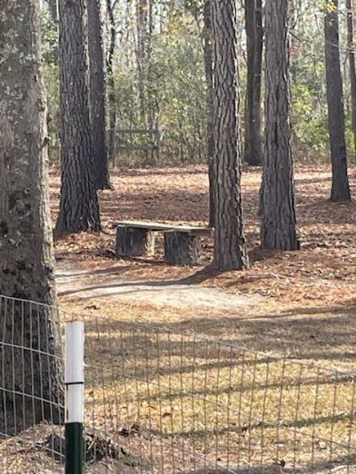 5976 Pleasant Grove Road Photo 28