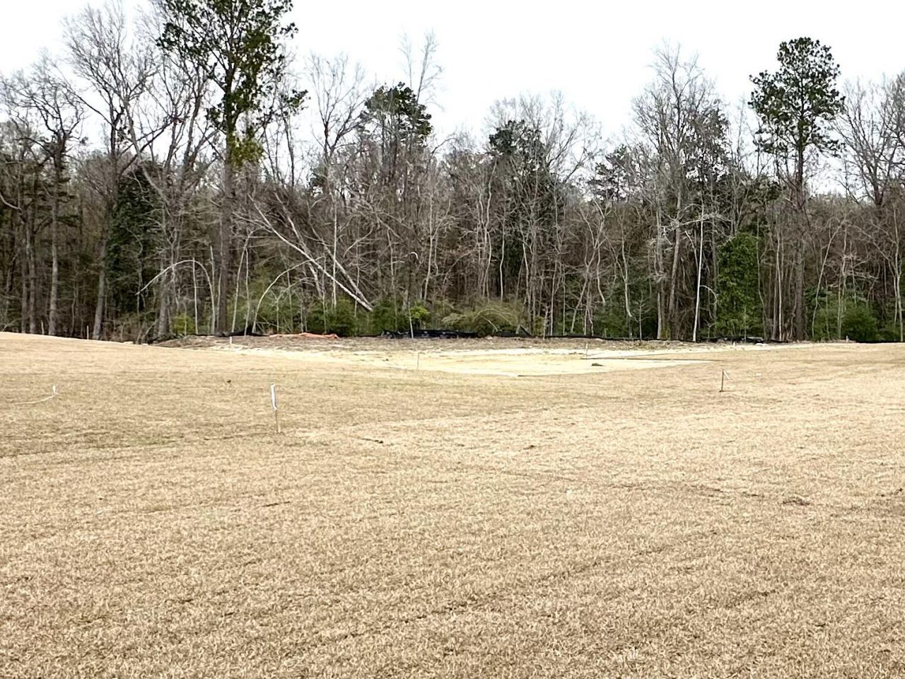 8803 Lannister Drive Photo 23