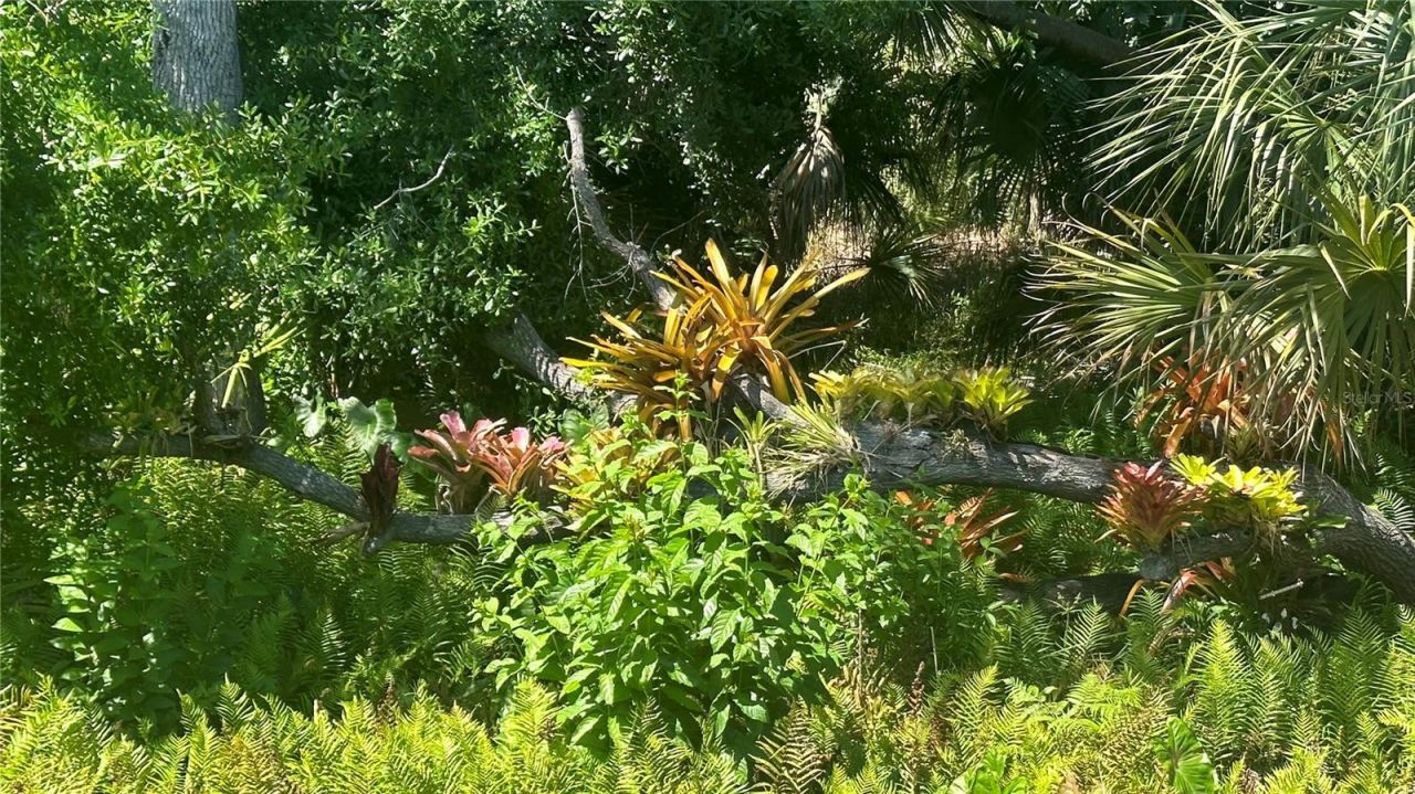 5122 Creekside Trail, Sarasota, FL 34243 Photo