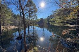 0 Sardis Church Road  photo 4