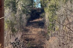 0 Sardis Church Road  photo 4