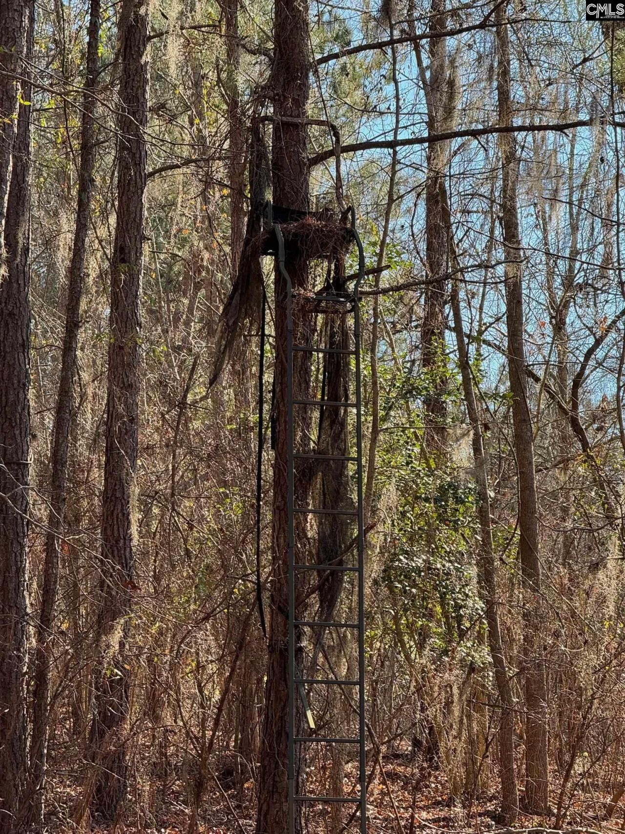 0 Sardis Church Road  Photo 5