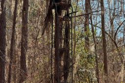 0 Sardis Church Road  photo 4