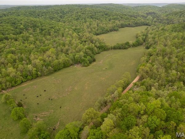 0 County Road 352, Piedmont, MO 63957