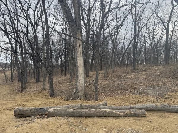 Lot 53 Madden Addition , Tiffin, IA 52340