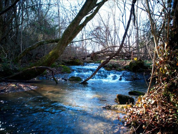 0 Rheatown Road, Chuckey, TN 37641