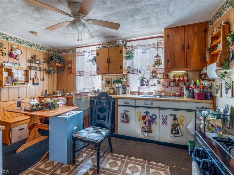 3180 W 46th Street, Cleveland, OH 44102 Photo 10