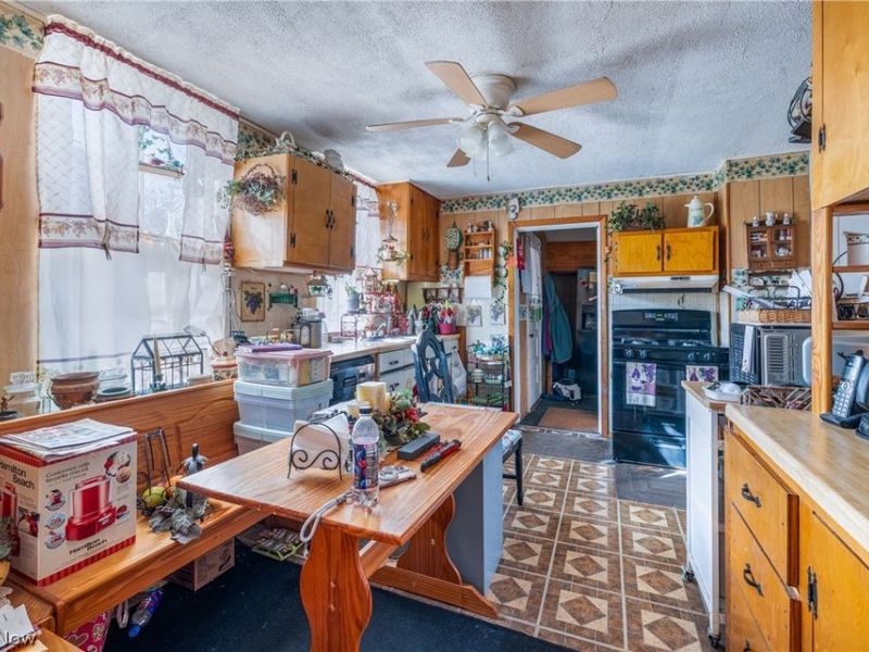 3180 W 46th Street, Cleveland, OH 44102 Photo 9