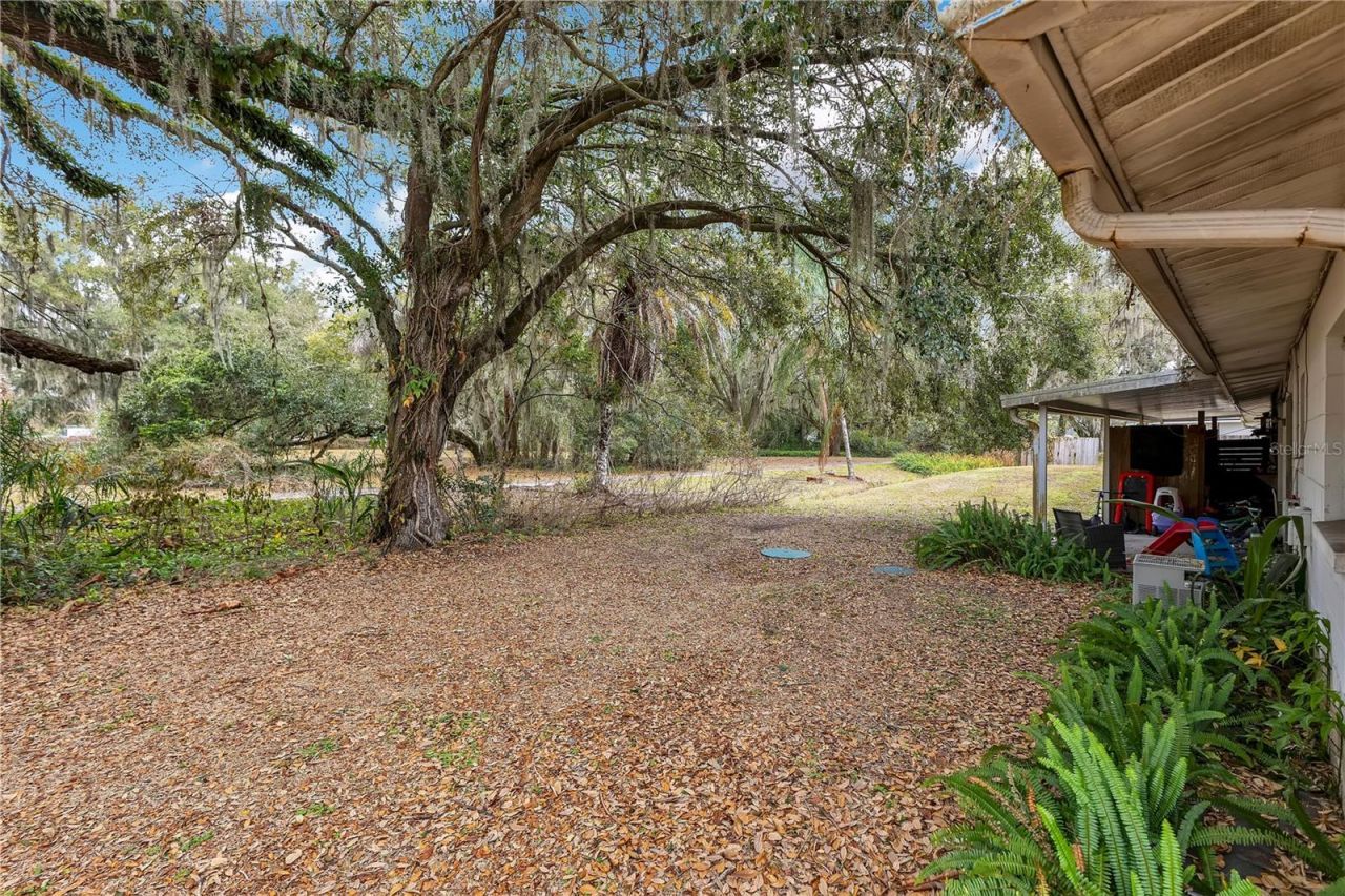 Please Call For Address, Lakeland, FL 33809 Photo