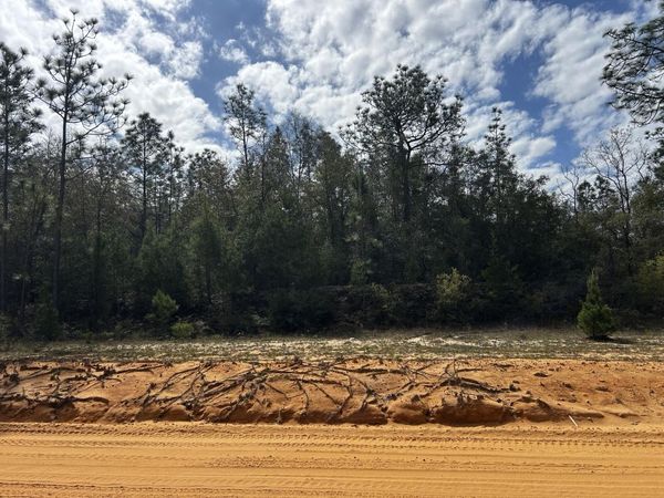 TBD Elkcam Boulevard, Chipley, FL 32428