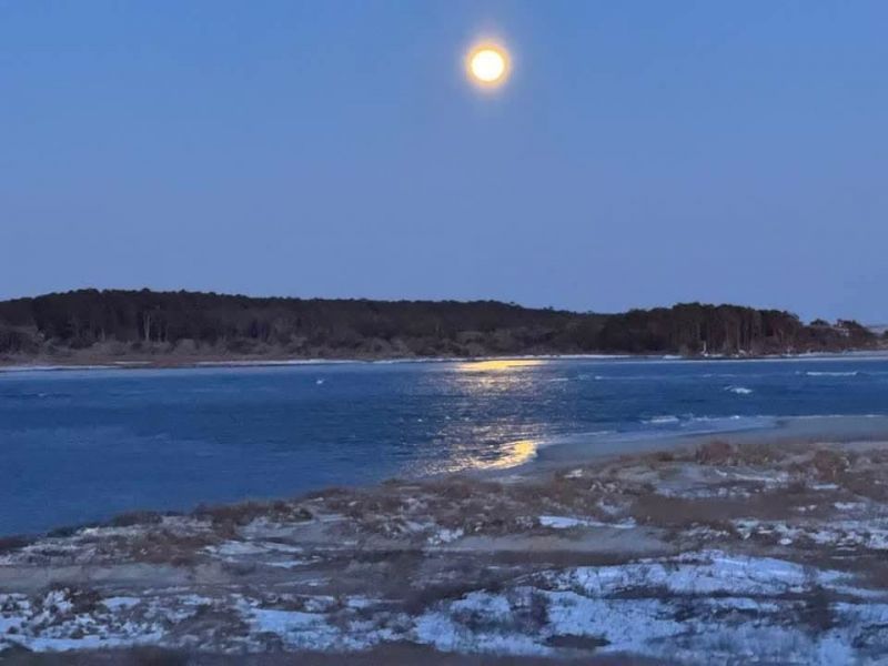 6309 N Ocean Blvd. Photo 46