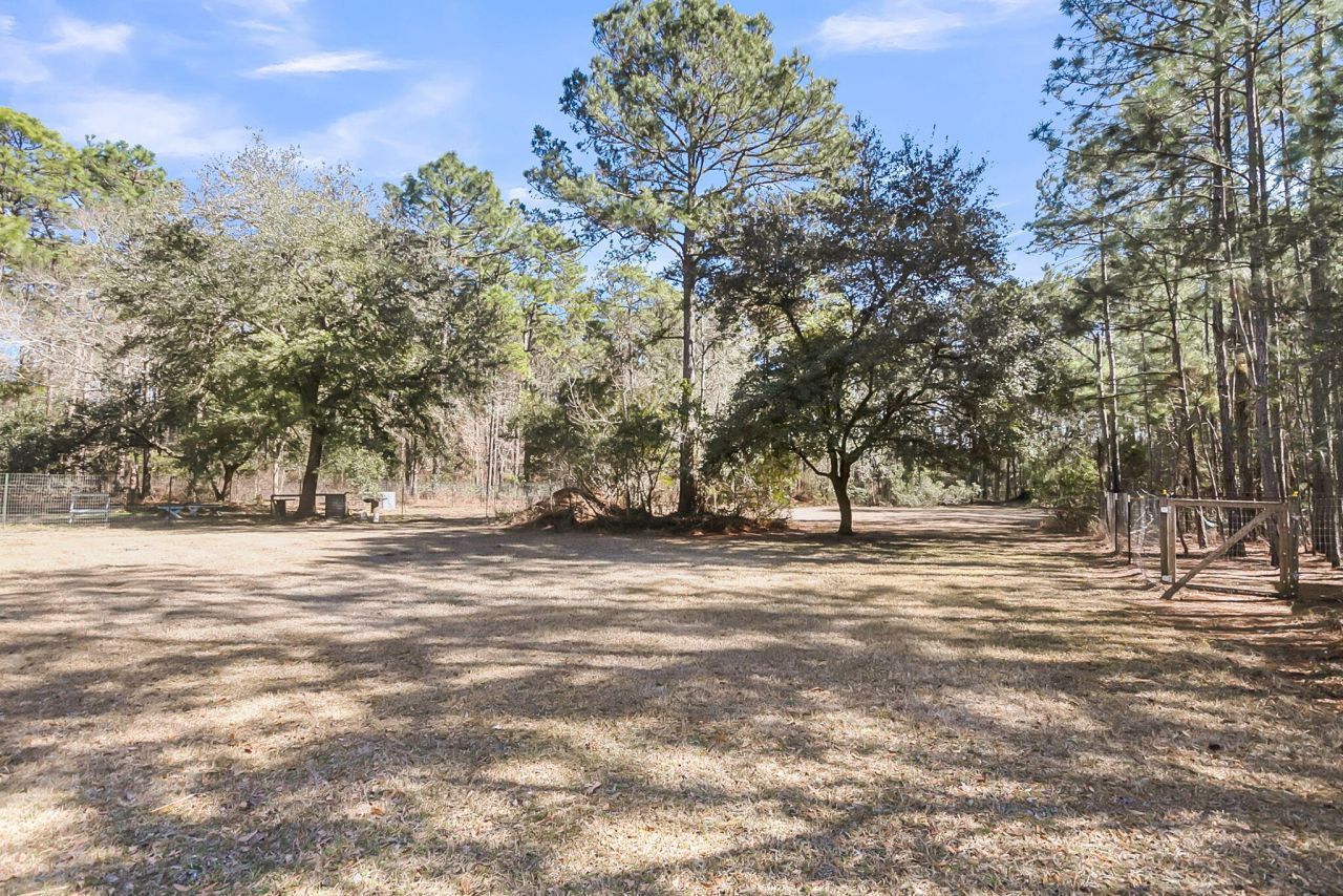 6911 Buckhorn Road Photo 72