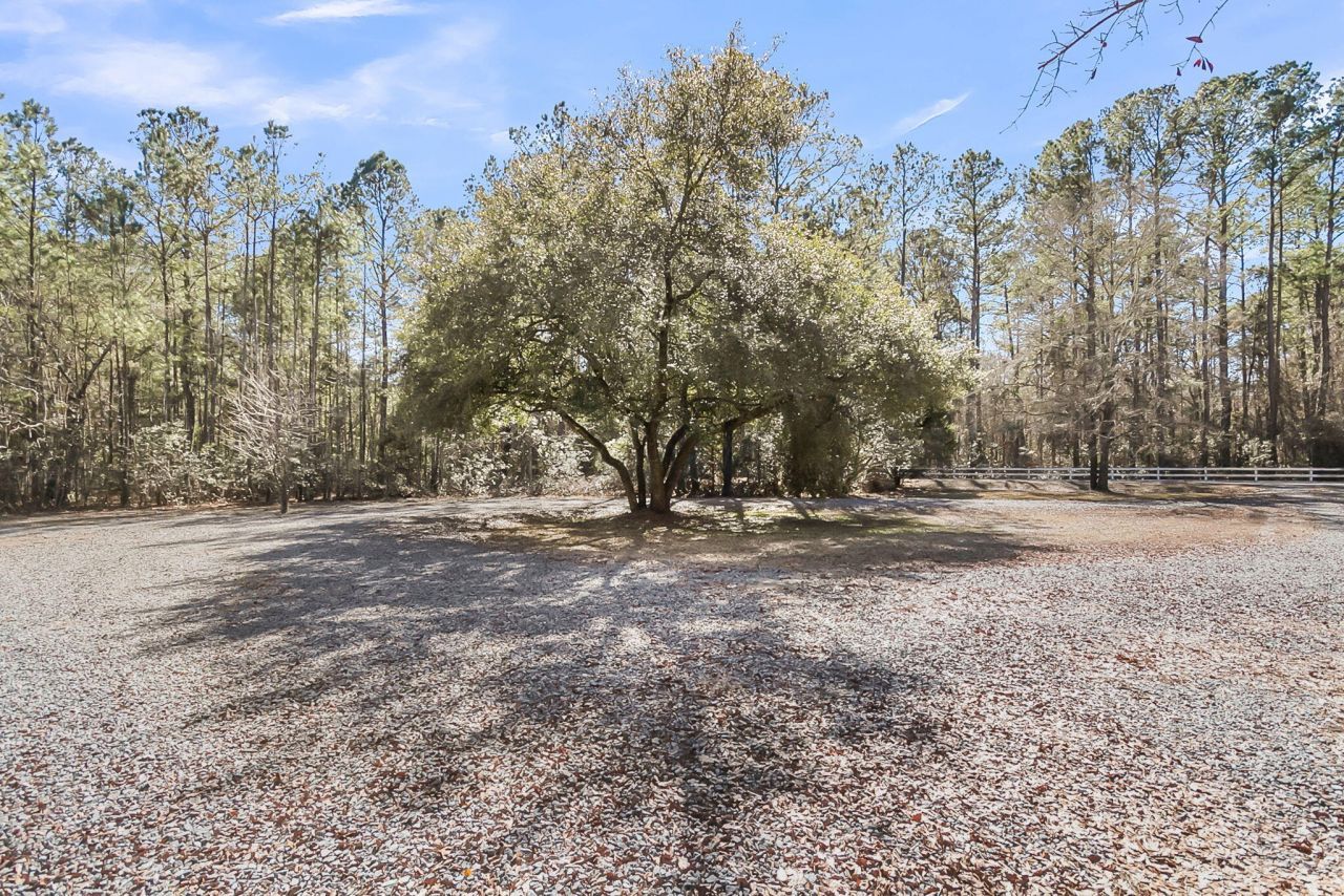 6911 Buckhorn Road Photo 76