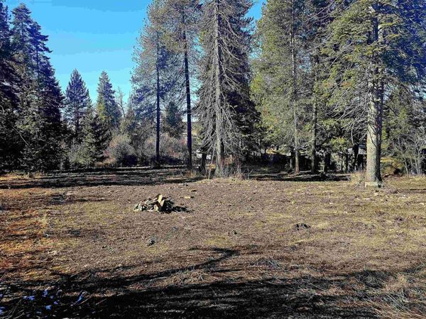 92 Rouleau Loop, Weippe, ID 83531