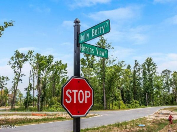 113 Holly Berry Court, Wilmington, NC 28401