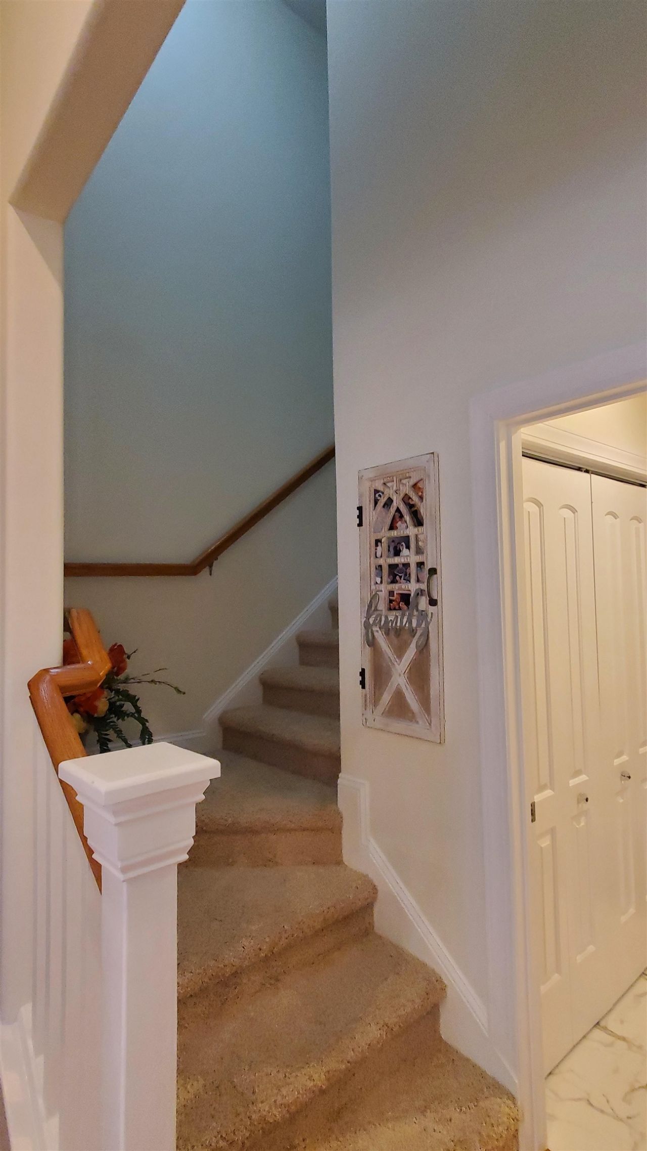 237 Saint Davids Ave. Photo 30