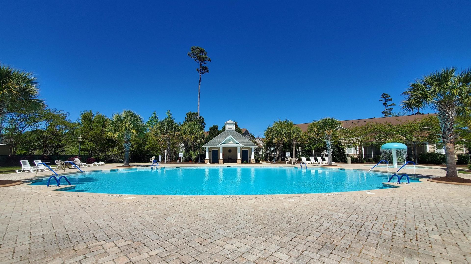 237 Saint Davids Ave. Photo 53