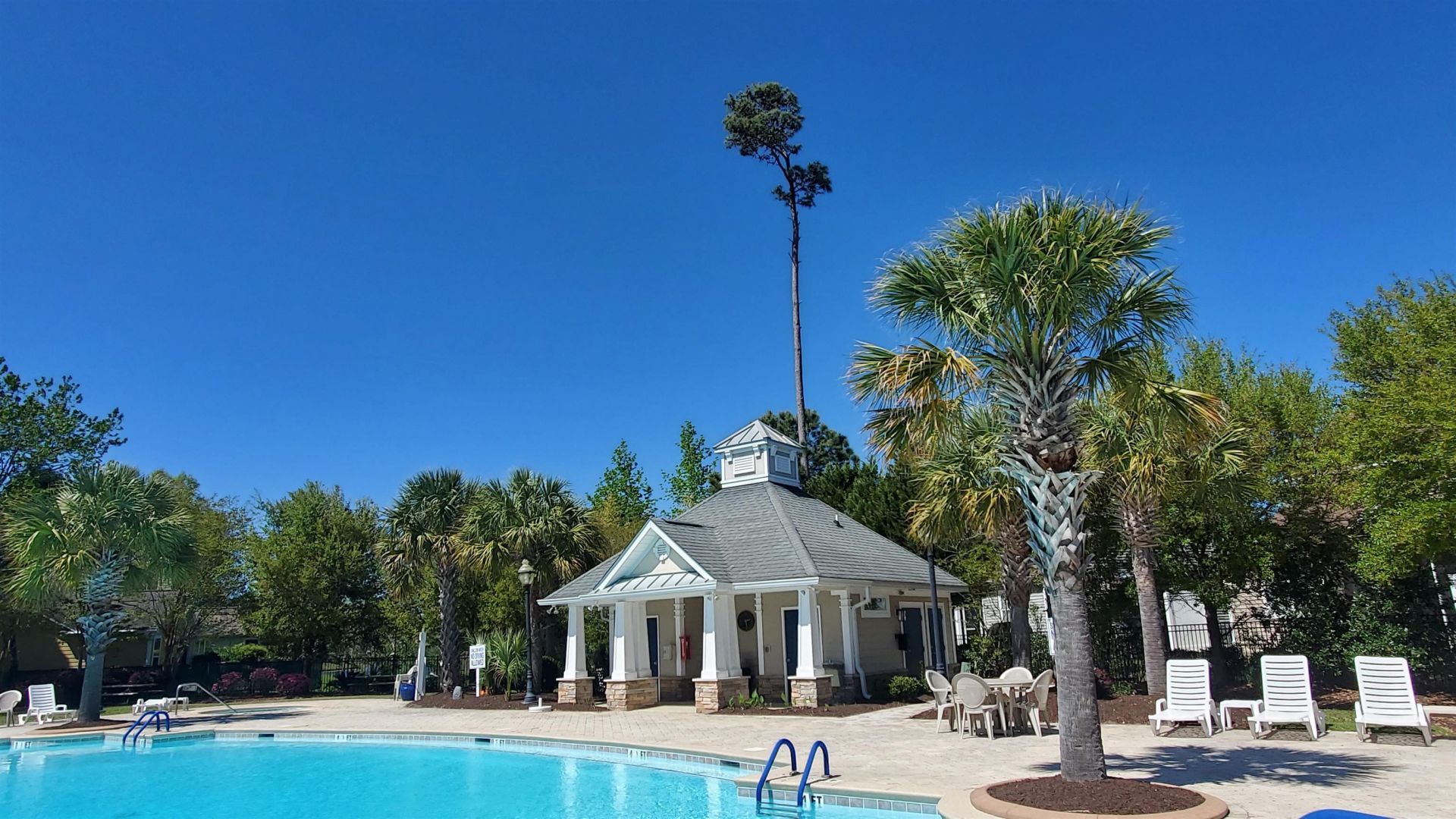 237 Saint Davids Ave. Photo 54